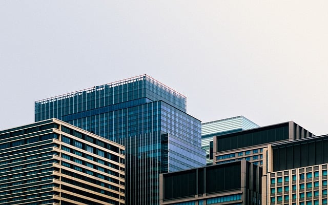 想找WPS Office官网首页，结果被山寨站骗了个全家桶，别学我